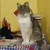 Отзыв от Полина Сорокина